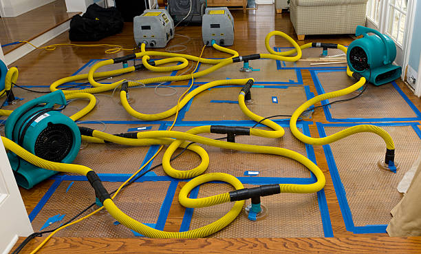 Professional Emergency Water Removal technician working in Wellington, UT